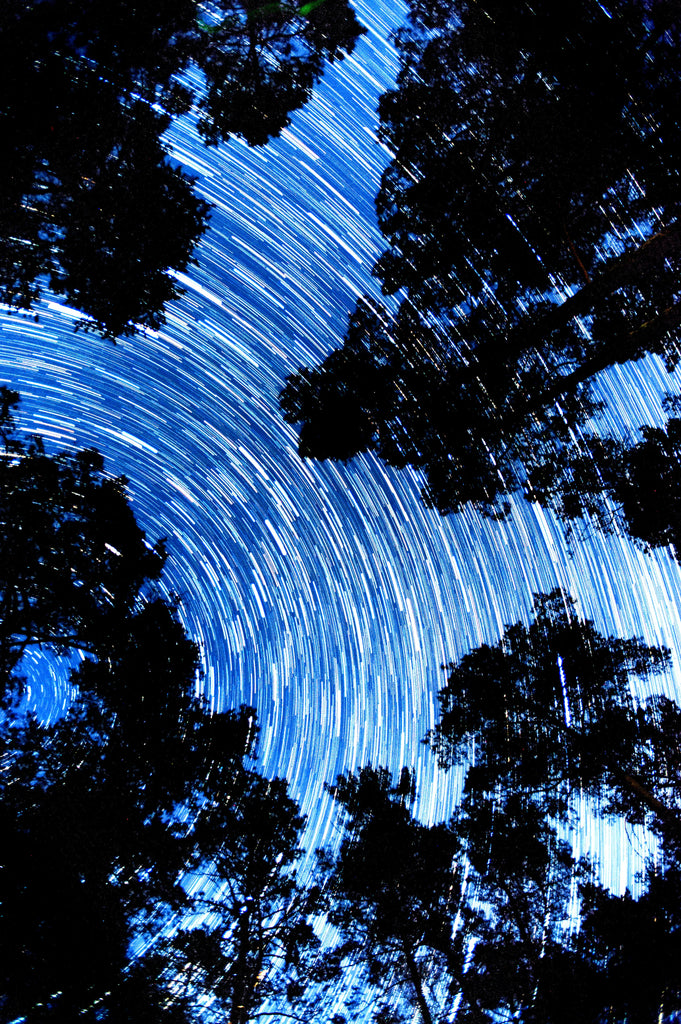 Photo by Alexey Chudin: https://www.pexels.com/photo/long-exposure-to-the-stars-trails-on-the-night-sky-above-the-trees-12024968/