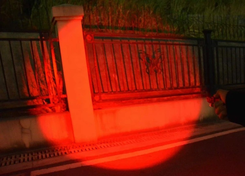 Red beam from the flashlight illuminating a moth in the dark