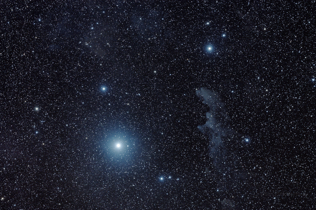 Witch Head Nebula astrophotograph